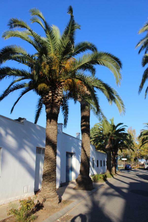 Pensjonat Lo Segador Poblenou del Delta Zewnętrze zdjęcie
