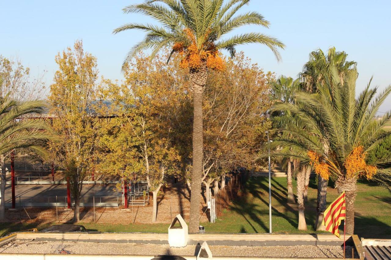 Pensjonat Lo Segador Poblenou del Delta Zewnętrze zdjęcie
